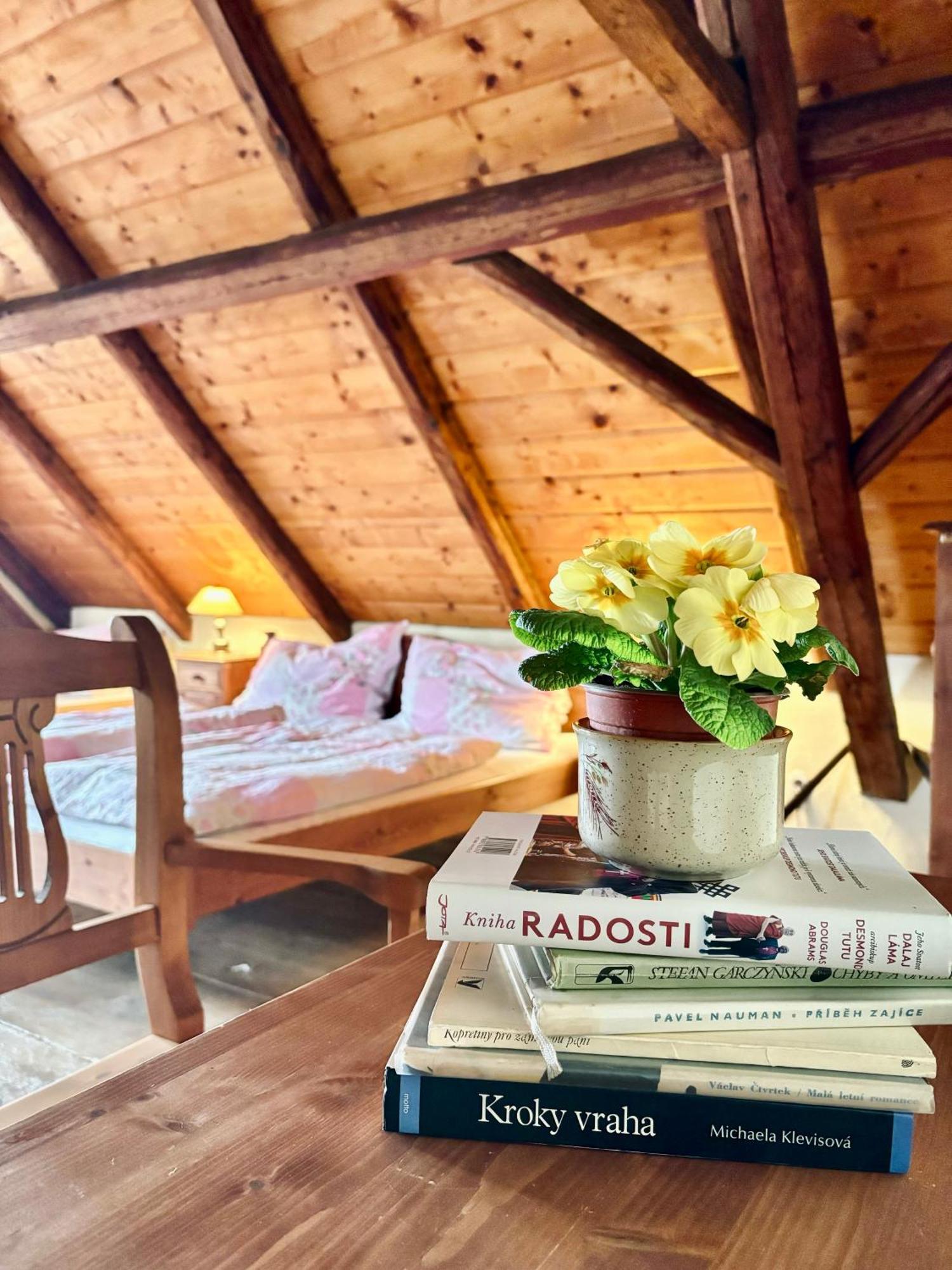 Nadejkov Apartmany Penzion Katerina מראה חיצוני תמונה